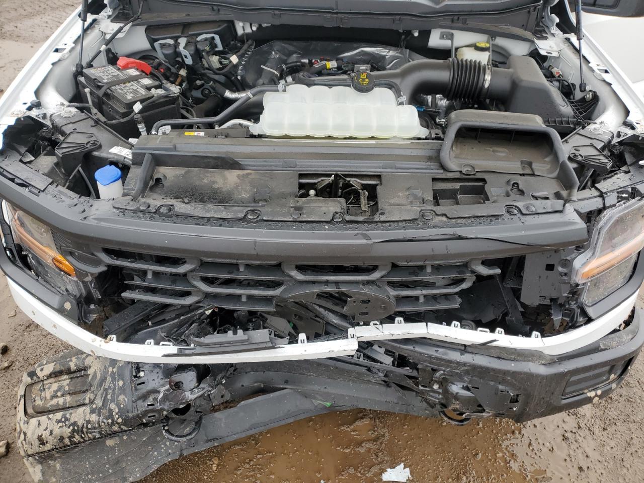 2024 FORD F150 XL VIN:1FTMF1LP2RKF05392