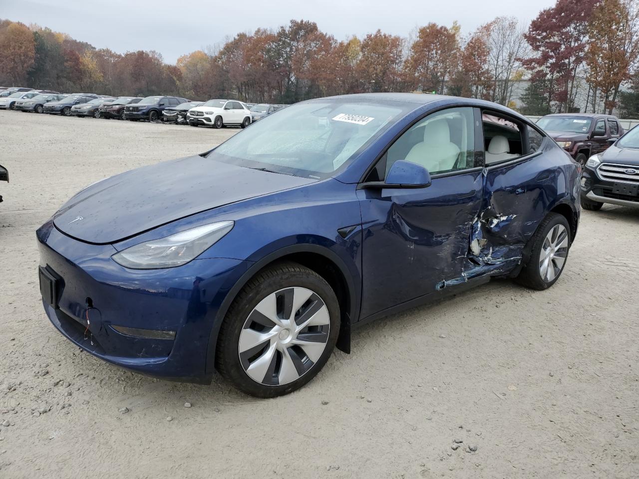 2024 TESLA MODEL Y  VIN:7SAYGDEE4RA266078