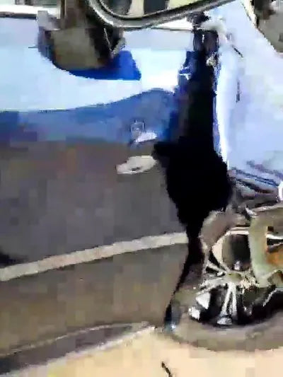 2017 Lexus RX 450 JTJBGMCAXH2033651 VIN:JTJBGMCAXH2033651