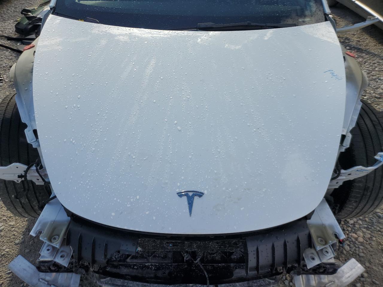 2023 TESLA MODEL 3  VIN:5YJ3E1EA9PF419899