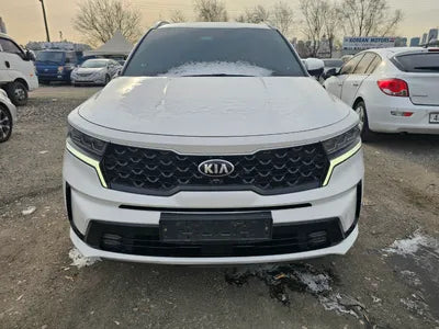 2021 Kia Sorento KNARH81BGMA053240 VIN:KNARH81BGMA053240