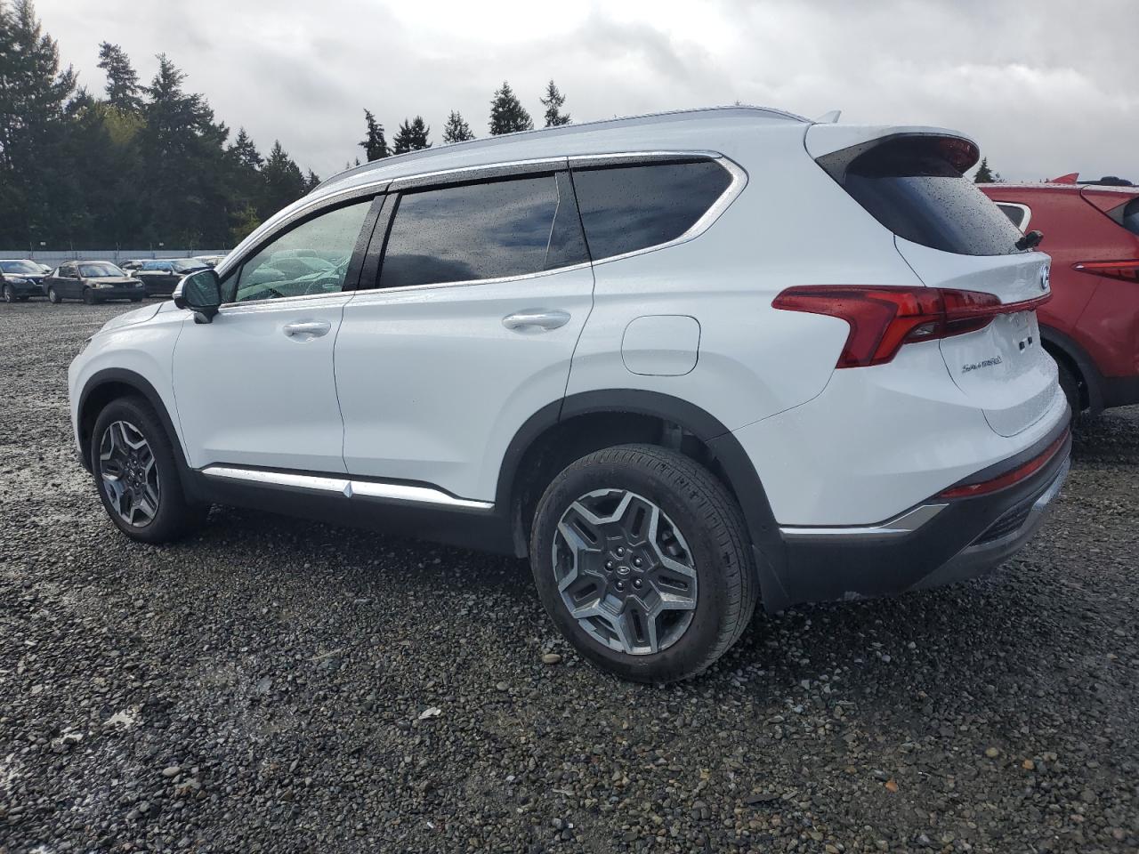 2023 HYUNDAI SANTA FE LIMITED VIN:5NMS4DAL8PH649018