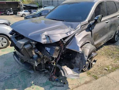 2020 Hyundai Santa FE KMHS281BBLU248522 VIN:KMHS281BBLU248522