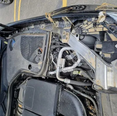 2020 Mercedes-Benz E 220 VIN: