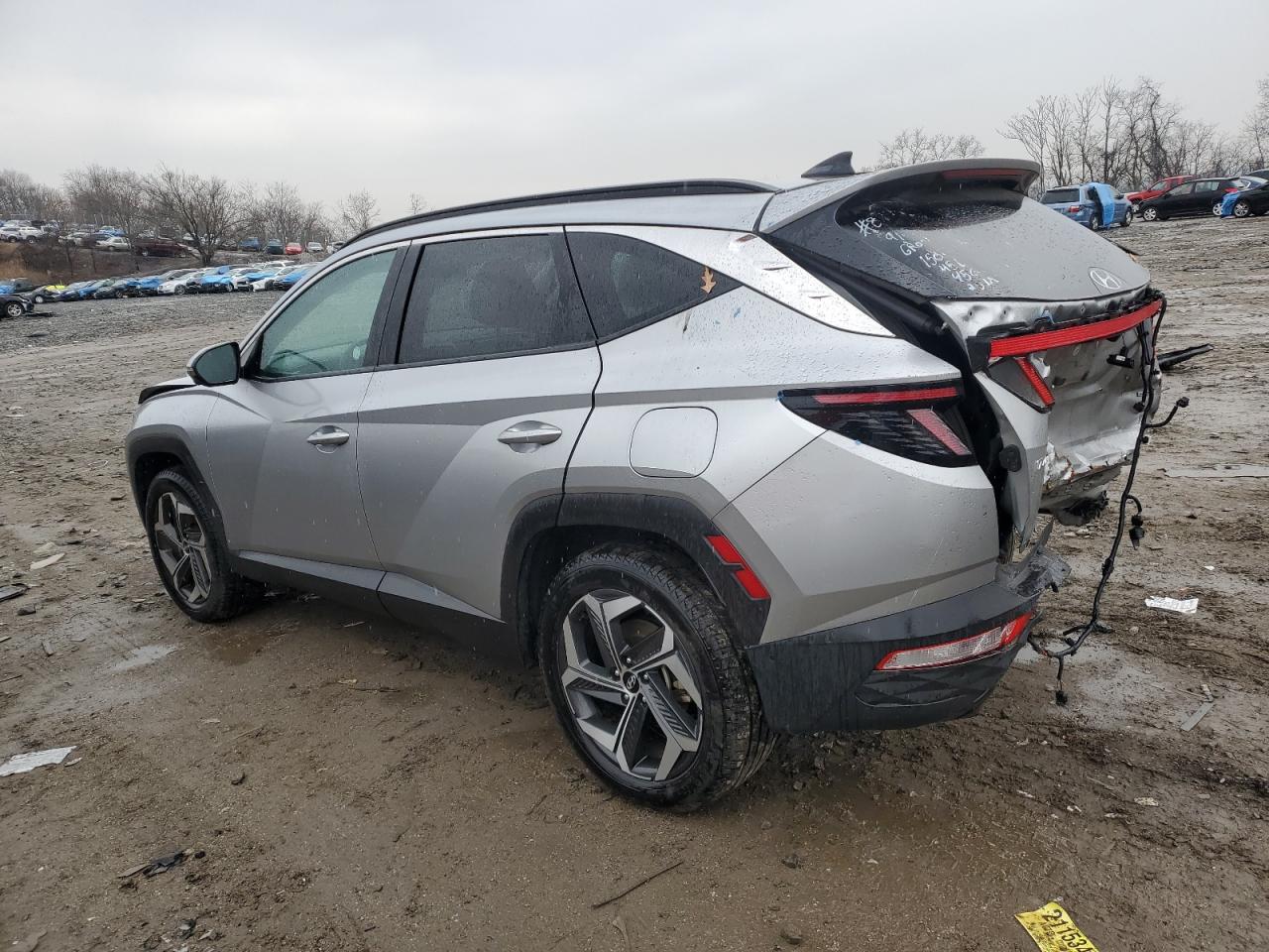 2024 HYUNDAI TUCSON LIMITED VIN:5NMJECDE6RH305285