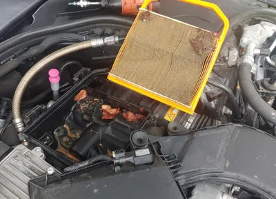 2020 Mercedes-Benz S 450 W1KUG6EB0LA530273 VIN:W1KUG6EB0LA530273