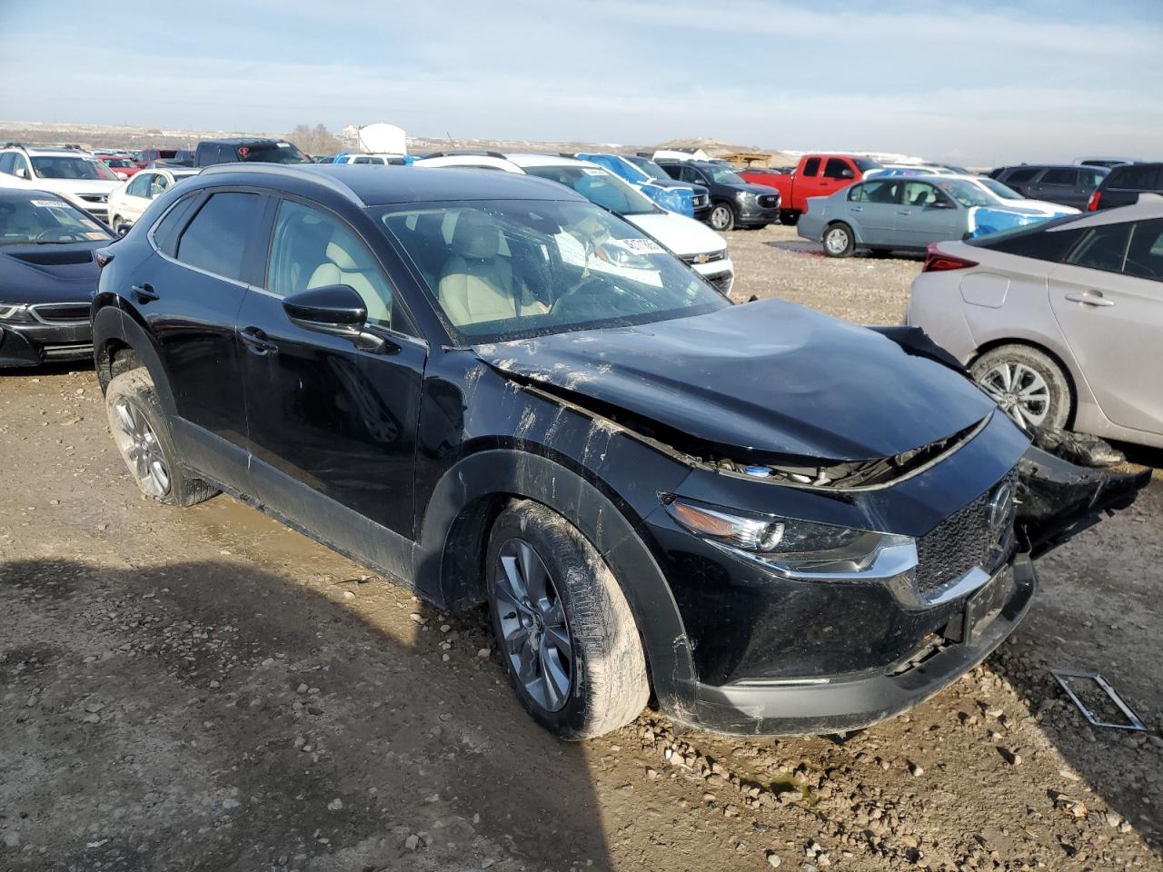 2023 MAZDA CX-30 PREFERRED VIN:3MVDMBCM5PM523729