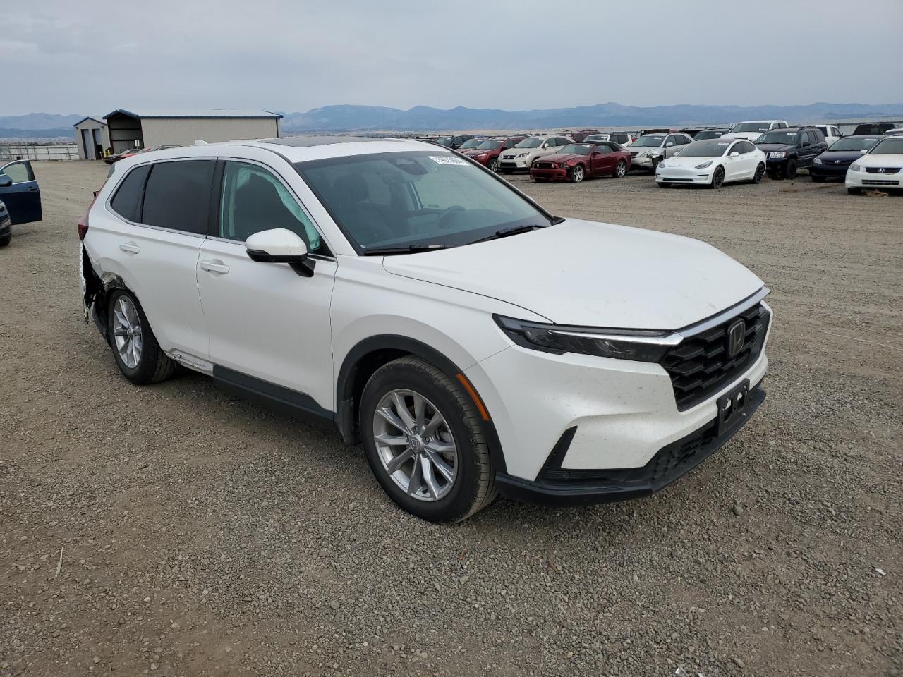 2024 HONDA CR-V EXL VIN:2HKRS4H73RH420121