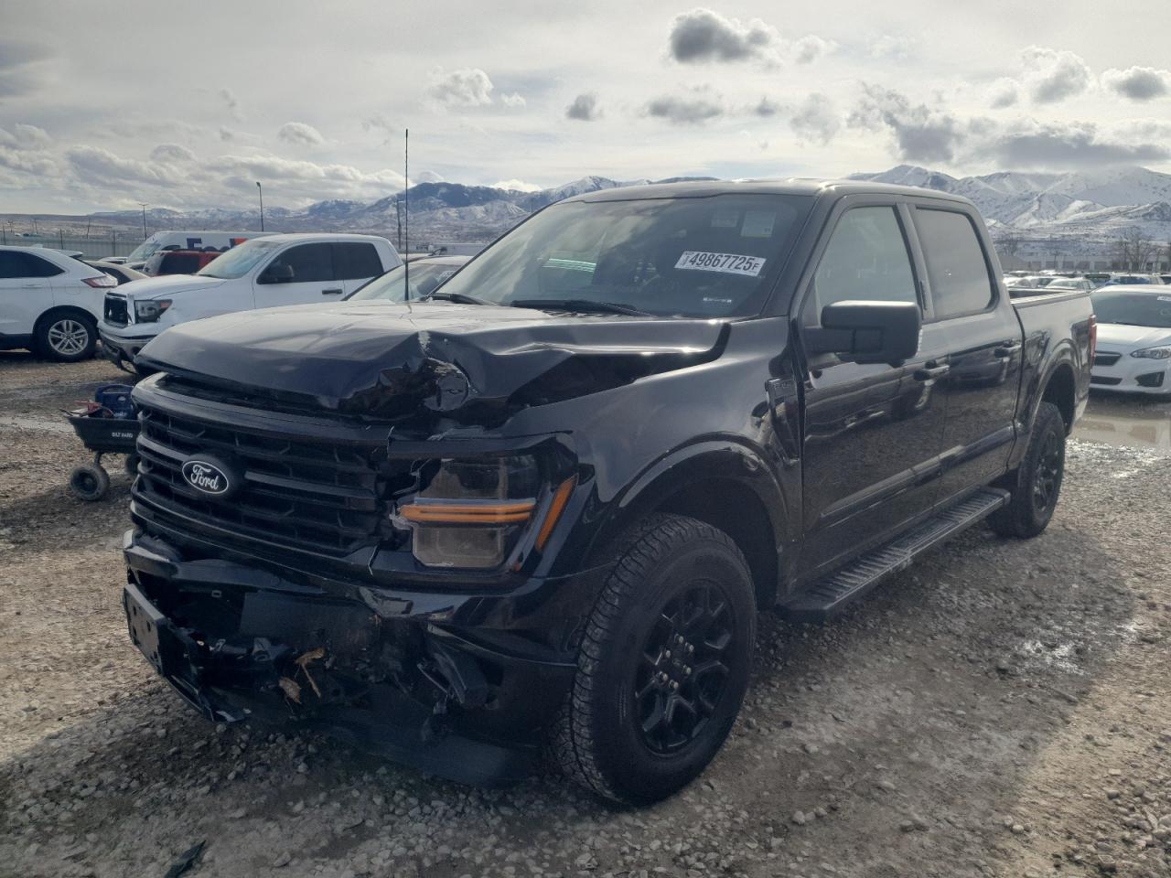 2024 FORD F150 XLT VIN:1FTFW3L89RKD35576