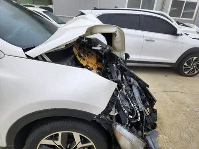 2019 Kia Sportage KNAPN813BKK670181 VIN:KNAPN813BKK670181