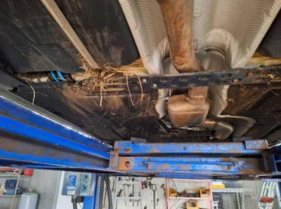 2016 BMW 520 WBA5E7105GG159304 VIN:WBA5E7105GG159304