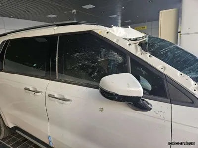 2021 Kia Carnival KNANC81BBMS078551 VIN:KNANC81BBMS078551