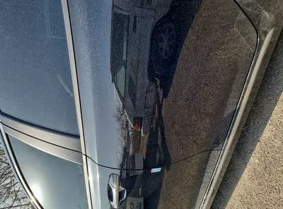 2019 Kia K5 KNAGT41EBKA033002 VIN:KNAGT41EBKA033002