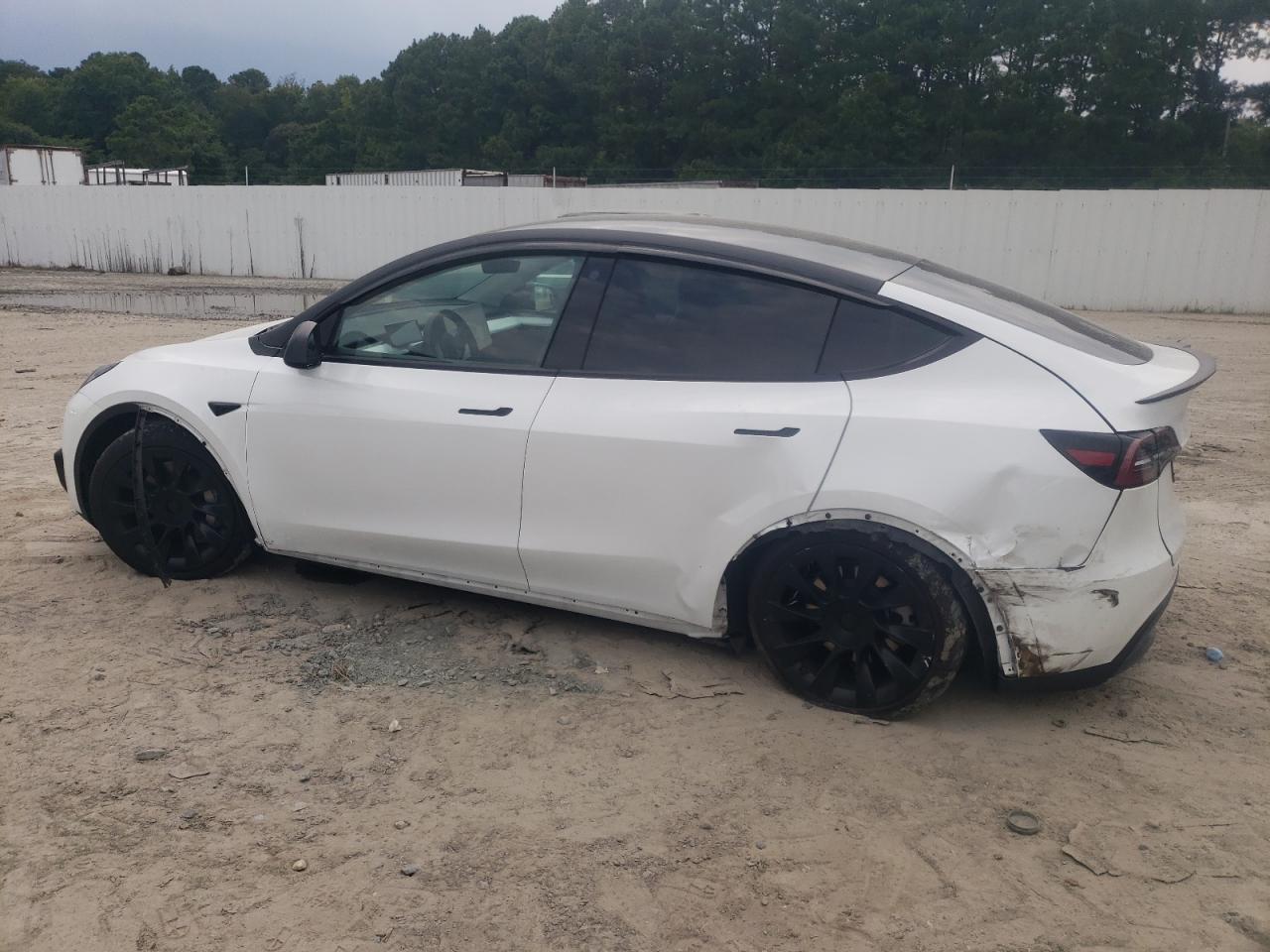 2023 TESLA MODEL Y  VIN:7SAYGAEE4PF775599