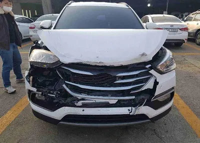 2018 Hyundai Santa FE KMHSW81UBJU834628 VIN:KMHSW81UBJU834628