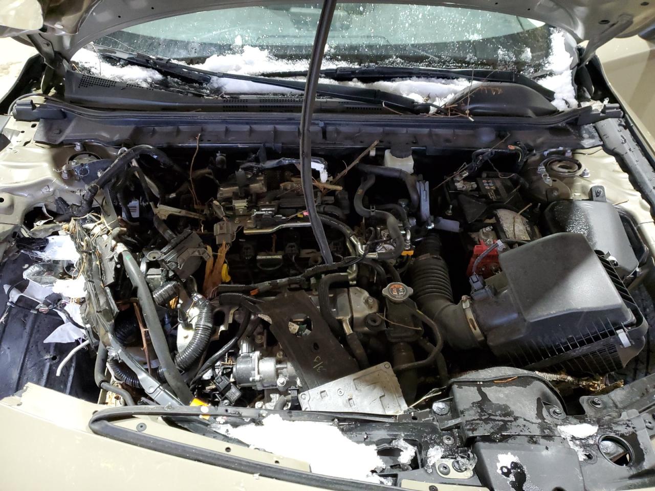 2024 MAZDA 3 CARBON TURBO VIN:3MZBPBXY0RM402538