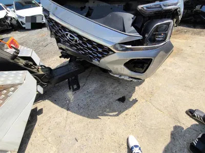 2019 Hyundai Santa FE KMHS381BBKU156411 VIN:KMHS381BBKU156411