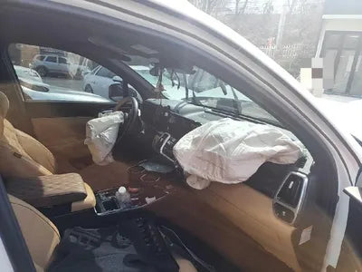 2021 Kia Sorento KNARF81GDMA045087 VIN:KNARF81GDMA045087