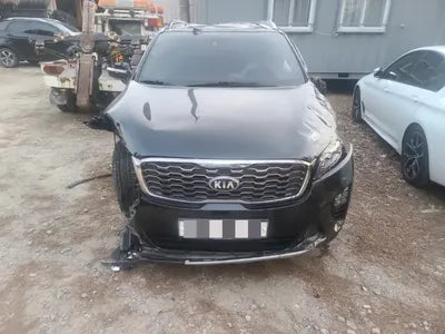 2019 Kia Sorento KNAPH81BBKA501737 VIN:KNAPH81BBKA501737