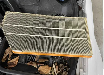 2021 Mercedes-Benz C 220 W1KWF1FB5LR601434 VIN:W1KWF1FB5LR601434