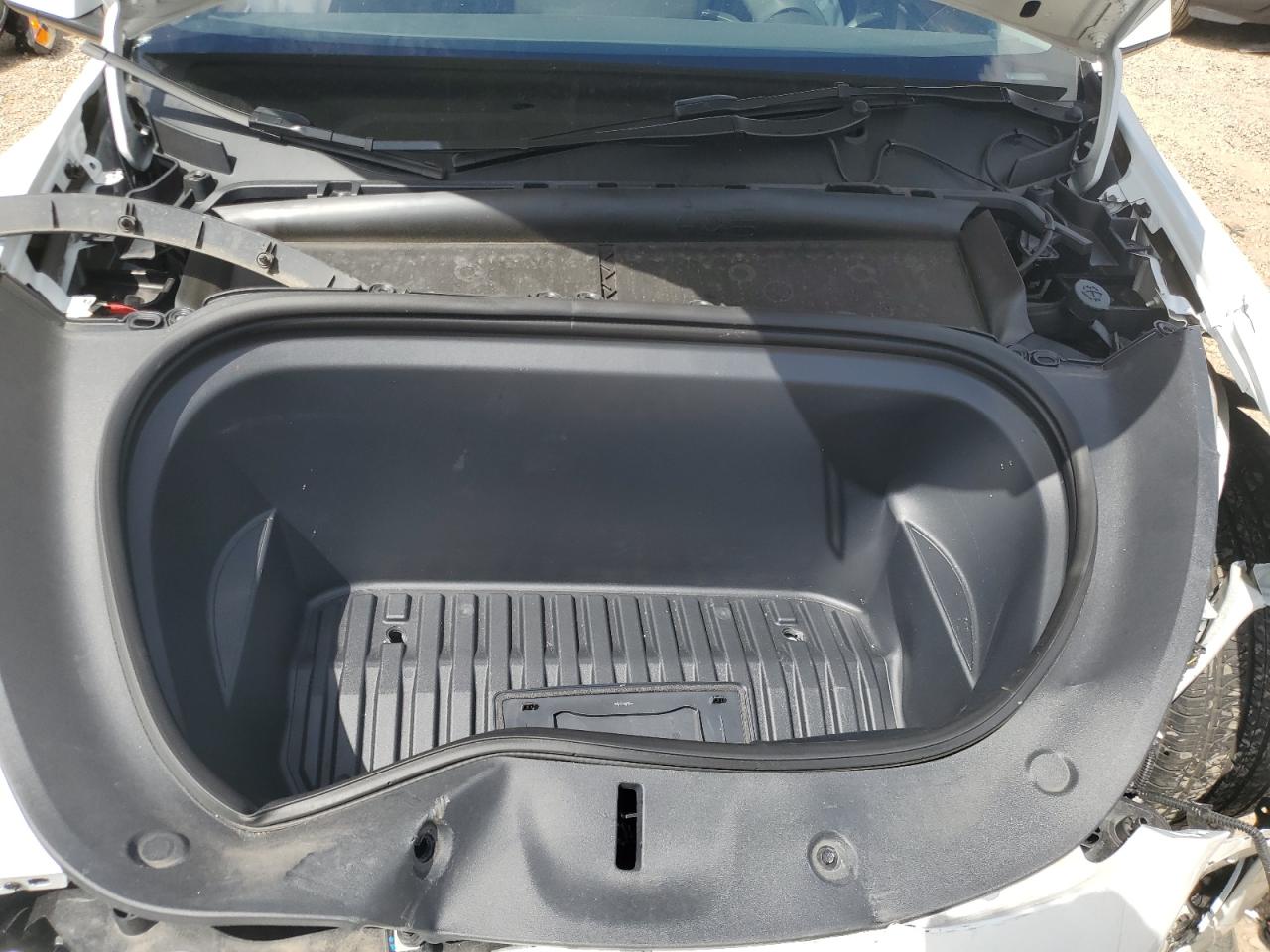 2023 TESLA MODEL Y  VIN:7SAYGDEE4PA069456