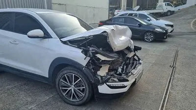 2016 Hyundai Tucson KMHJ381ABGU026409 VIN:KMHJ381ABGU026409