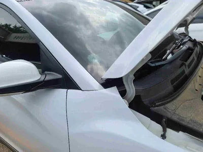 2019 Hyundai Kona KMHK4815GKU351666 VIN:KMHK4815GKU351666
