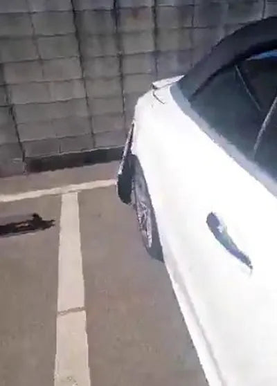 2020 Mercedes-Benz E 220 W1K1K1EB6LF135022 VIN:W1K1K1EB6LF135022