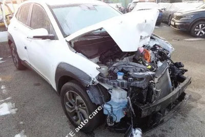 2021 Hyundai Kona KMHK381EGNU076135 VIN:KMHK381EGNU076135