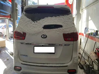 2019 Kia Carnival 115KMKNAME81ABKS5 VIN:115KMKNAME81ABKS5