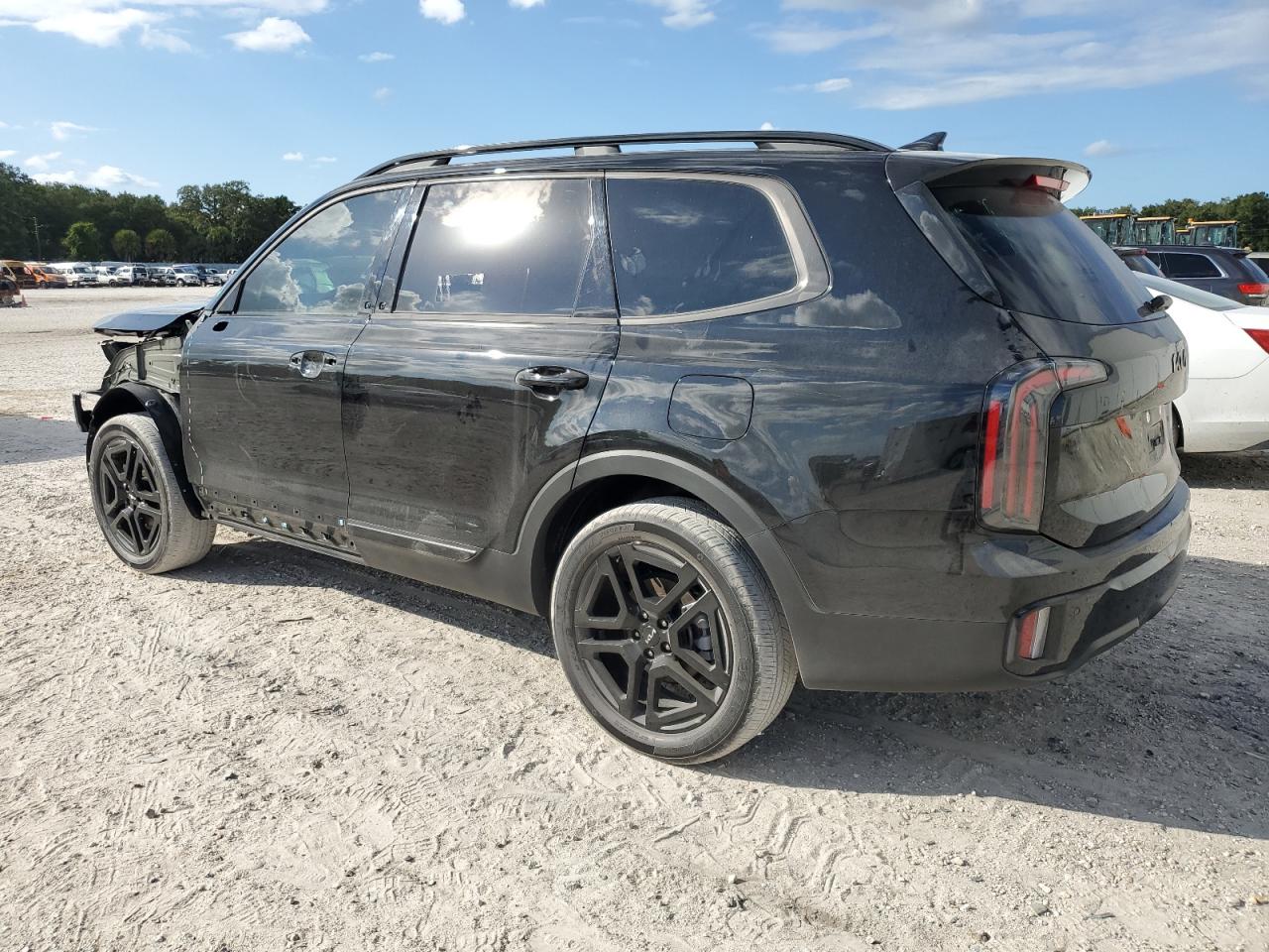 2024 KIA TELLURIDE EX VIN:5XYP3DGC7RG455397