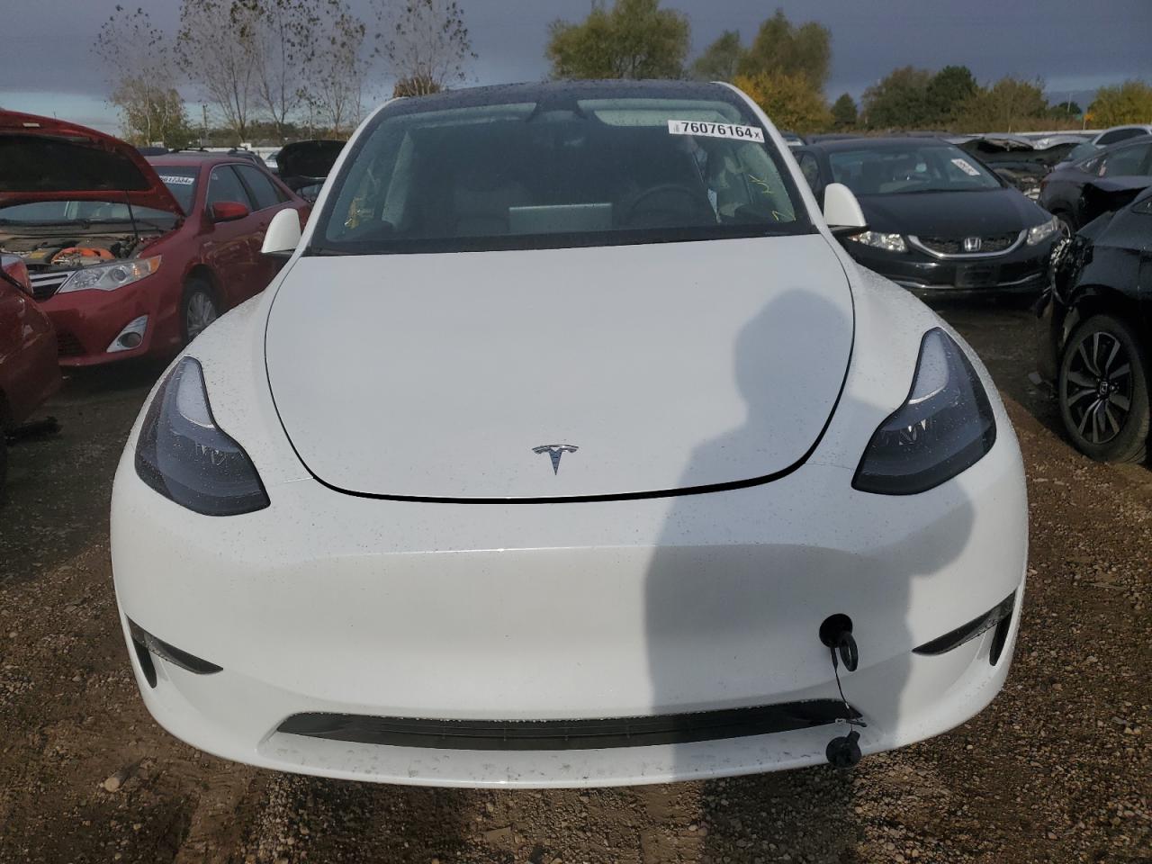 2024 TESLA MODEL Y  VIN:7SAYGDEE0RA296453