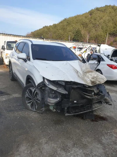 2018 Hyundai Santa FE KMHS281BDKU061175 VIN:KMHS281BDKU061175