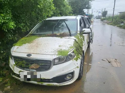 2016 Kia Carnival 334KMKNAMB81ABGS2 VIN:334KMKNAMB81ABGS2