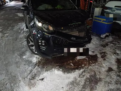 2016 Kia Sportage KNAPN813BGK145956 VIN:KNAPN813BGK145956