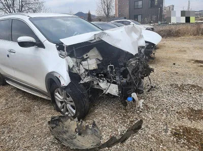 2017 Kia Sorento KNAPS81BDHA310714 VIN:KNAPS81BDHA310714