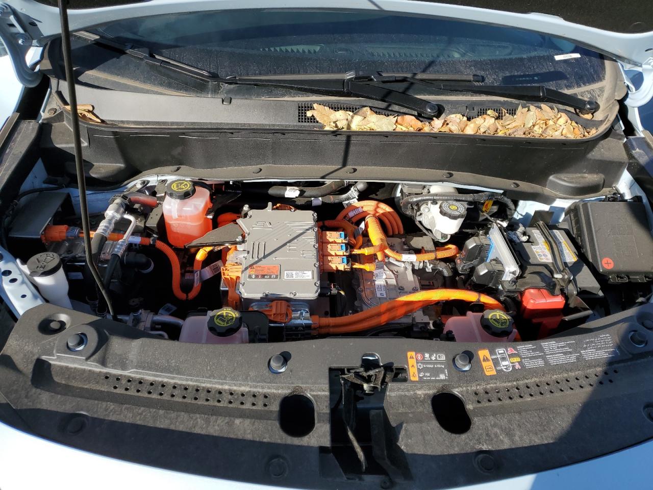 2023 CHEVROLET BOLT EUV LT VIN:1G1FY6S01P4180474