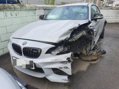 2018 BMW M2 WBS1J5102JVE54313 VIN:WBS1J5102JVE54313