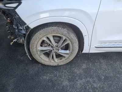 2019 Hyundai Santa FE KMHS581CDKU150496 VIN:KMHS581CDKU150496