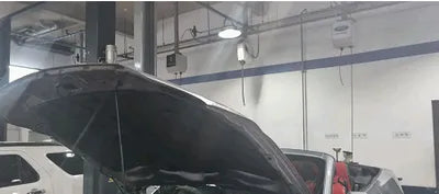 2021 Ford Mustang 1FATP8UH3M5112782 VIN:1FATP8UH3M5112782