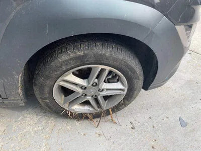 2022 Hyundai Kona KMHK3813GPU982175 VIN:KMHK3813GPU982175