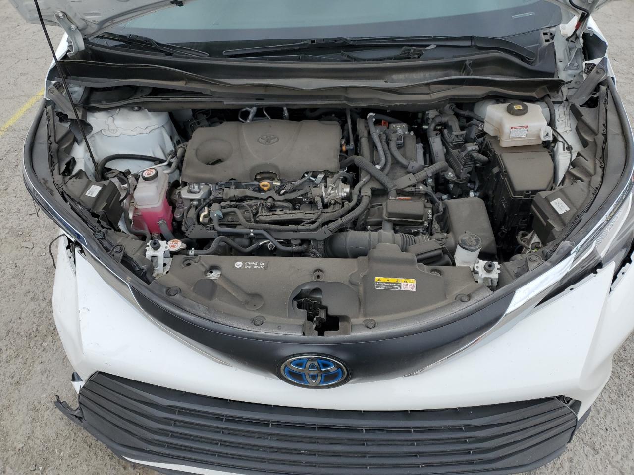 2023 TOYOTA SIENNA LE VIN:5TDKRKEC6PS159898