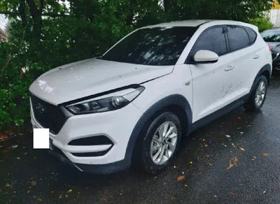 2017 Hyundai Tucson KMHJ2815GHU233830 VIN:KMHJ2815GHU233830