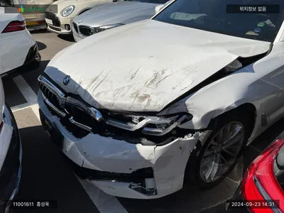 2021 BMW 520 WBA11BH06MWX31369 VIN:WBA11BH06MWX31369