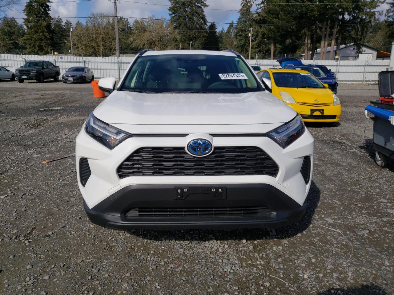2024 TOYOTA RAV4 XLE VIN:JTMRWRFV8RD224765