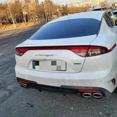 2021 Kia Stinger KNAE351DDMS099818 VIN:KNAE351DDMS099818