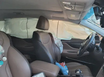 2019 Hyundai Santa FE KMHS381CDKU052076 VIN:KMHS381CDKU052076