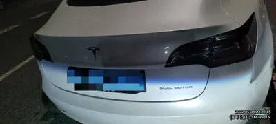 2020 Tesla Model 3 5YJ3E1EBXLF750767 VIN:5YJ3E1EBXLF750767