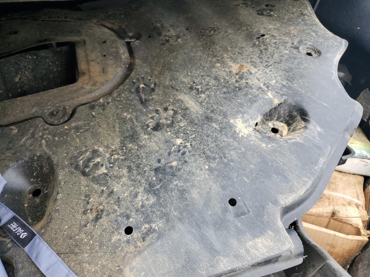 2023 TOYOTA CAMRY SE NIGHT SHADE VIN:4T1G11AK9PU769726