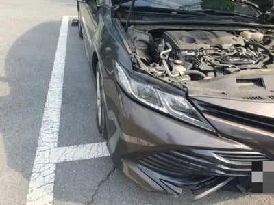 2019 Toyota Camry JTNB21HK6K3036528 VIN:JTNB21HK6K3036528